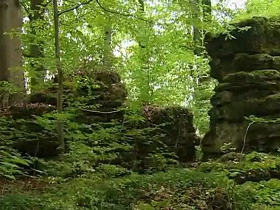 Fränkische Schweiz – Three Travel Tips | Discover Germany