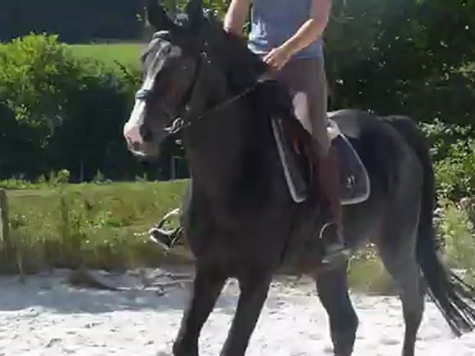 Premier saut de Cuba Libre