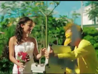 Yandar & Yostin Ft Andy Rivera -Te Pintaron Pajaritos (V.Remix)(Por VDJ Harry)