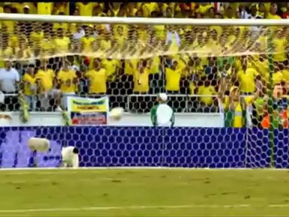 Falcao-Gala bringt Kolumbien zum Toben