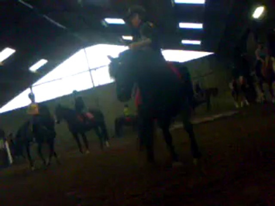 Rocco et Chloé