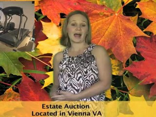Vienna VA Estate Auction