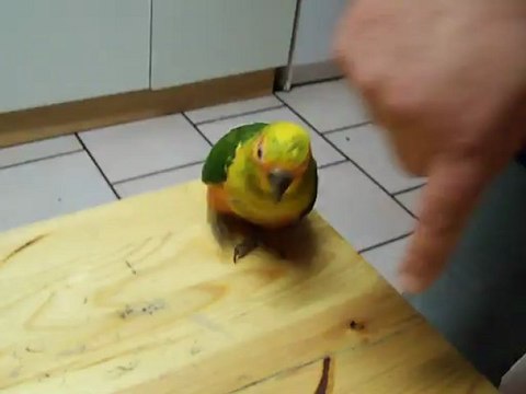 Photo 1060 tequila tourne sans recompense