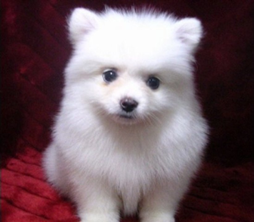 차기 플레이온카지노Β묎턯▧▶O­K­5­5­9­9­.­K­R◀㉡싕튉も 플레이온카지노