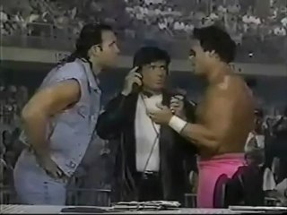 Diario Wrestling Vintage #01-02