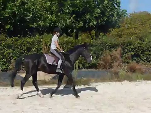 Essai avec Didine (2) - premier saut 15/09/12