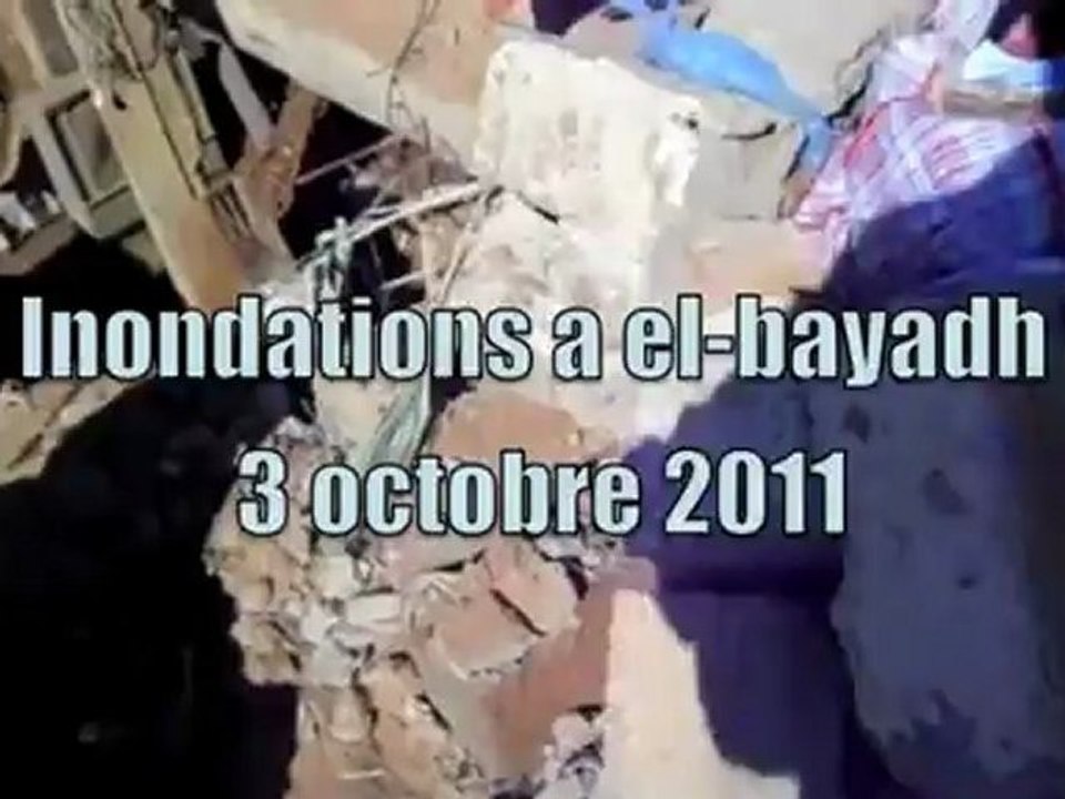 el bayadh haut plaine 2012