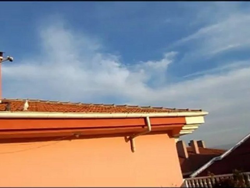 duman kirli akkuyruk