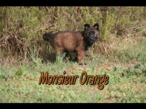 Nos bébés à 6 semaines