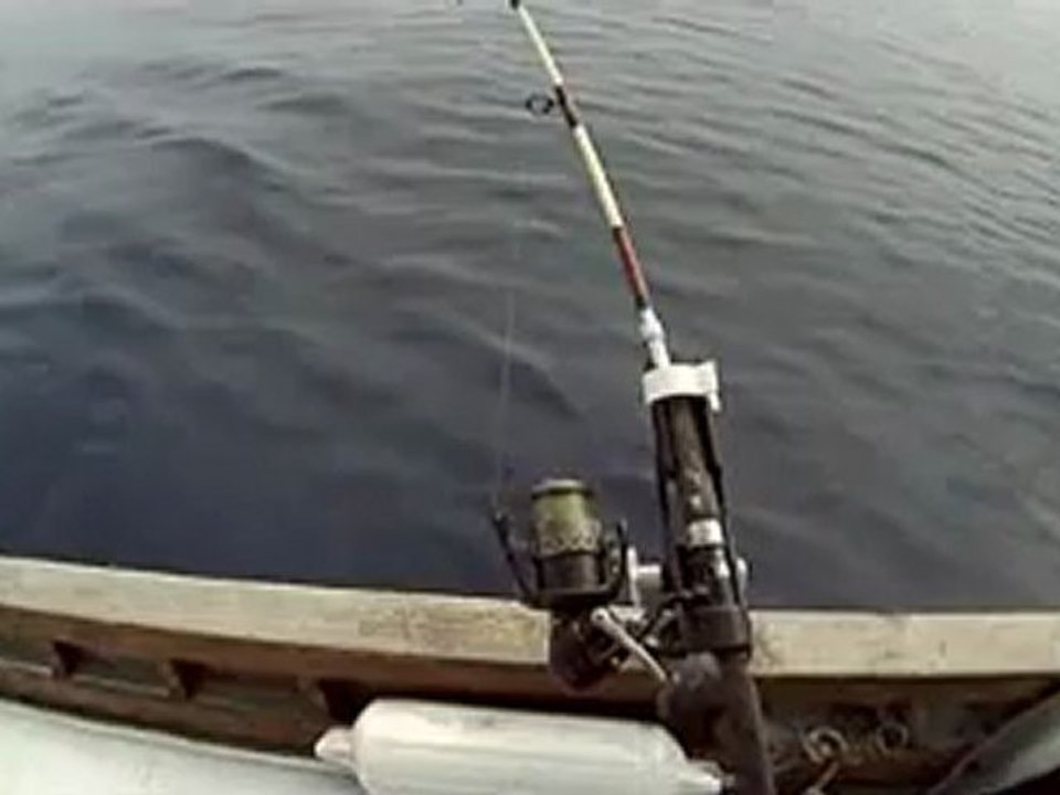 USAMİ SAHTE TEST AVI