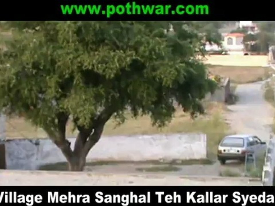 maira sangal