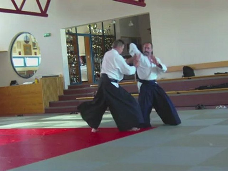Gyaku-hanmi katate-dori Uchi kaiten sankyo