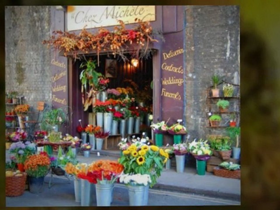 Flower Shop Interior Design Strategies