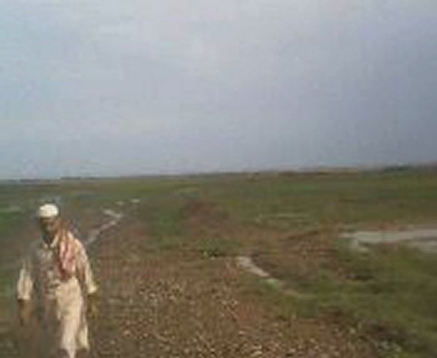 Jallozai videos (16)