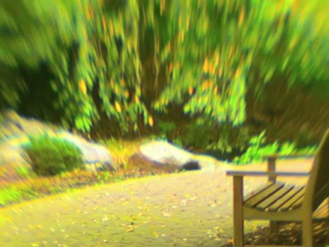 Lynny Lens - Tilt Shift SLR Camera Lenses Like Lensbaby Nikon Canon