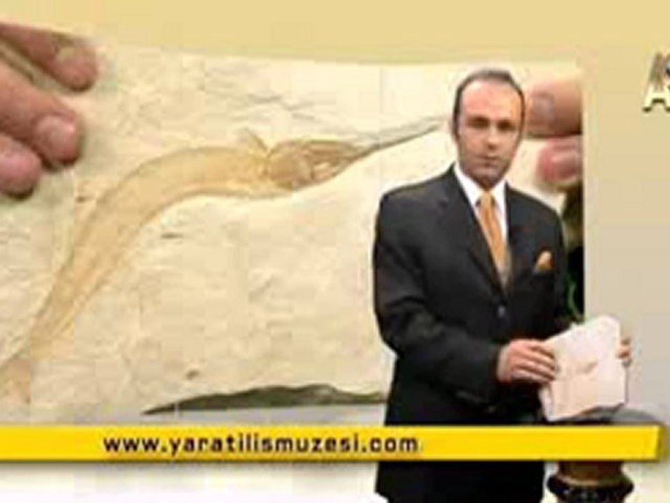 MİLYONLARCA YILDIR DEĞİŞMEYEN KEMİKLİ TURNA BALIKLARI