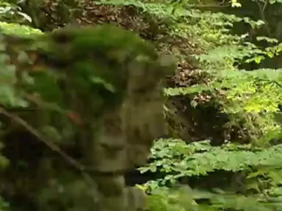 Fränkische Schweiz – drei Reisetipps | Hin