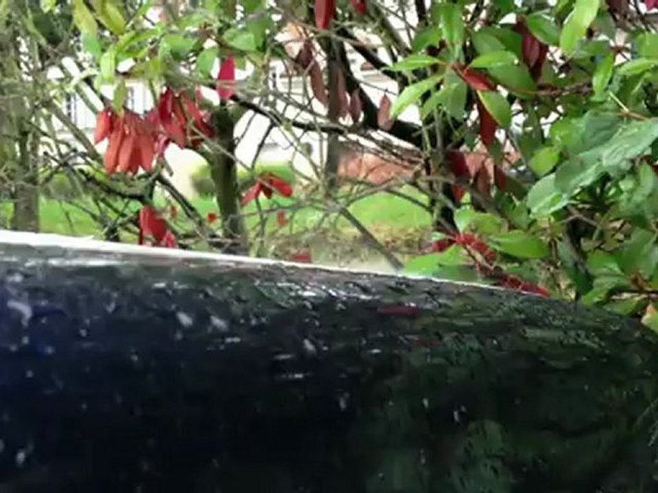 fumée blanche qui sort du moteur