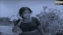 Thambran Thoduthathu... P.Madhuri  *db tech audioHD Malayalam Movie-Sindooracheppu