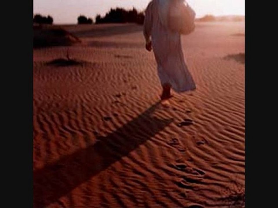 Zelda - Çöl Bekçisi (Nilgün Marmara)