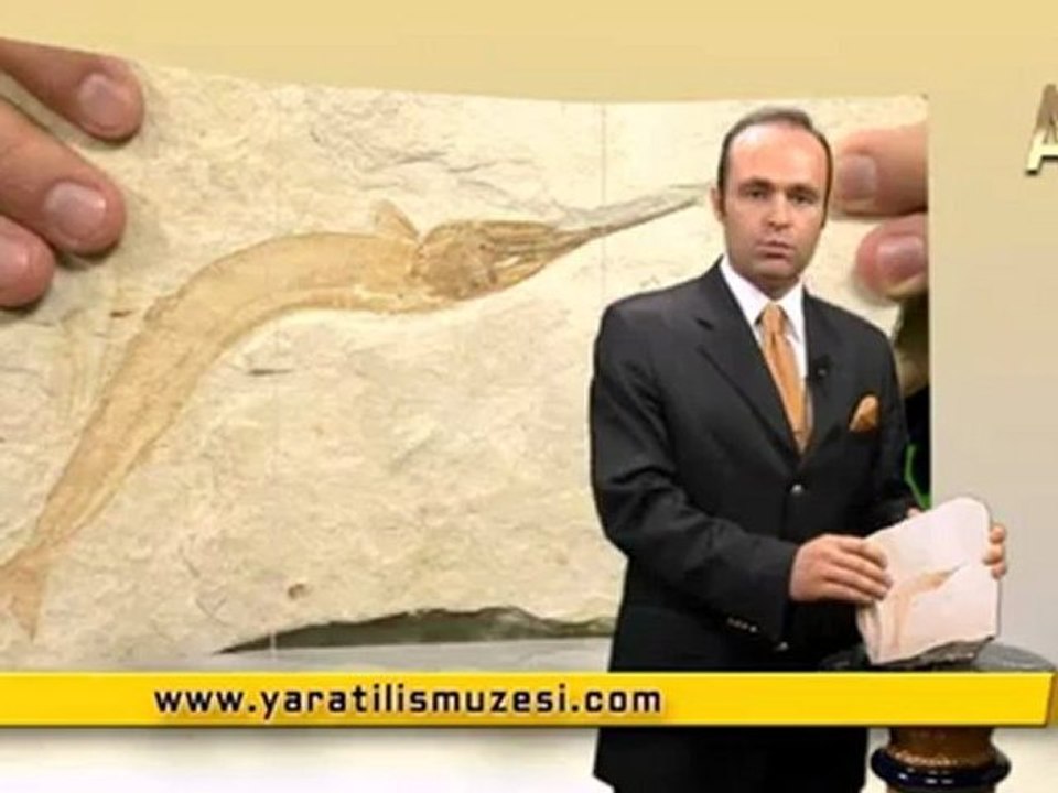 Milyonlarca yıldır değişmeyen kemikli turna balıkları