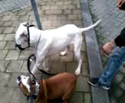 Petages de plombs avec June