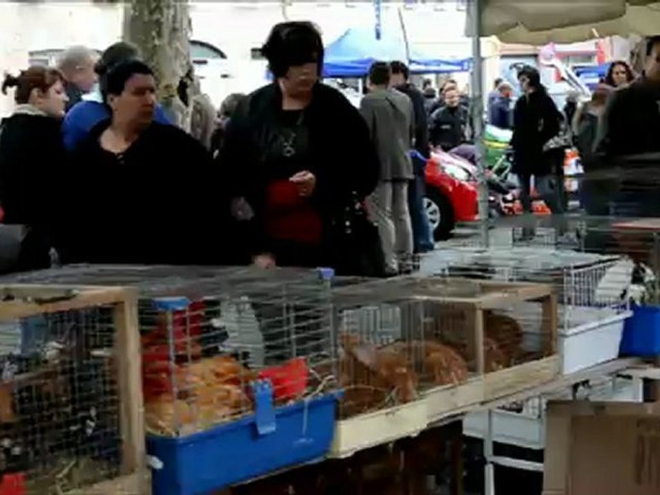 Foire de la Saint-Françoisà Pont-de-Vaux. Vidéo 1.