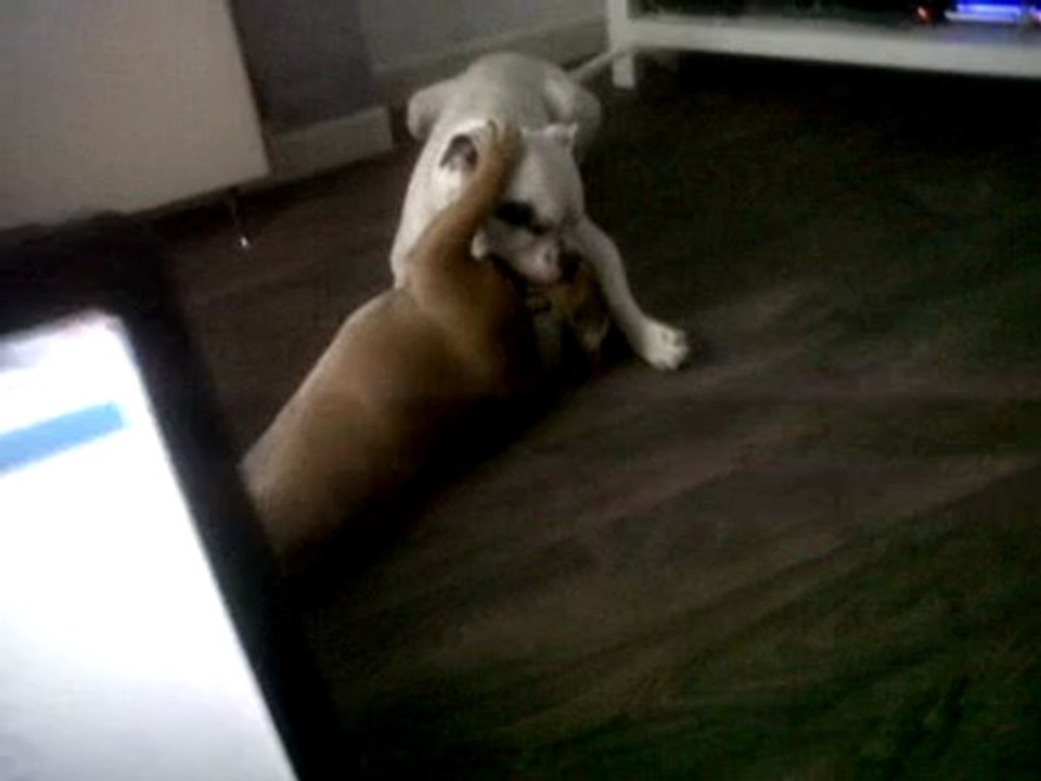 Galius & June dans le salon . . .