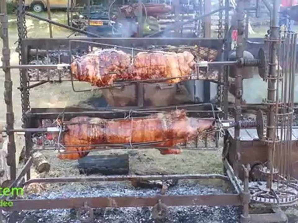 Ohh !!  Le cochon !!