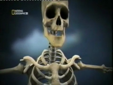 Antropologia forense: Huesos que hablan