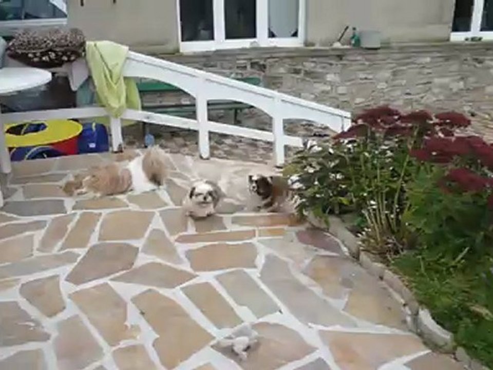 Harley le 14/10/2012