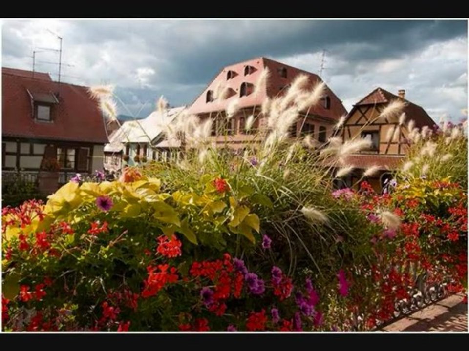 83 Bergheim