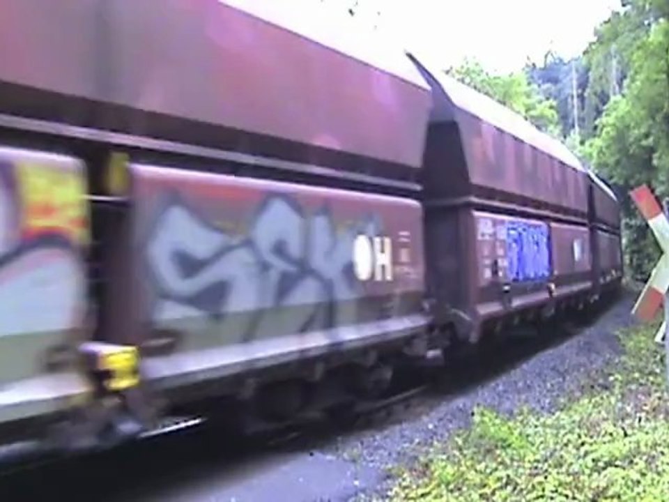 Angertalbahn (Kalkbahn) bei Hösel, MRCE Vossloh G2000BB, NE Mak G1206, TK Mak G1206, OC Mak G1206