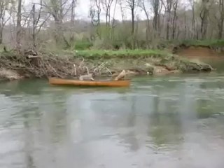 Лабрадор спасает уплывающих на каноэ собак