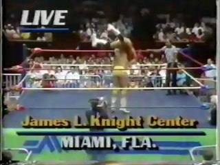 Barry Windham vs Brad Armstrong