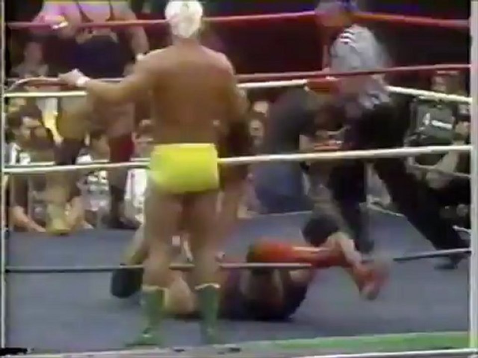 Jimmy and Ron Garvin vs Mike Rotunda and Rick Steiner
