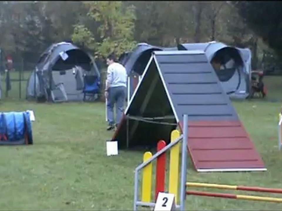 raven audun le roman