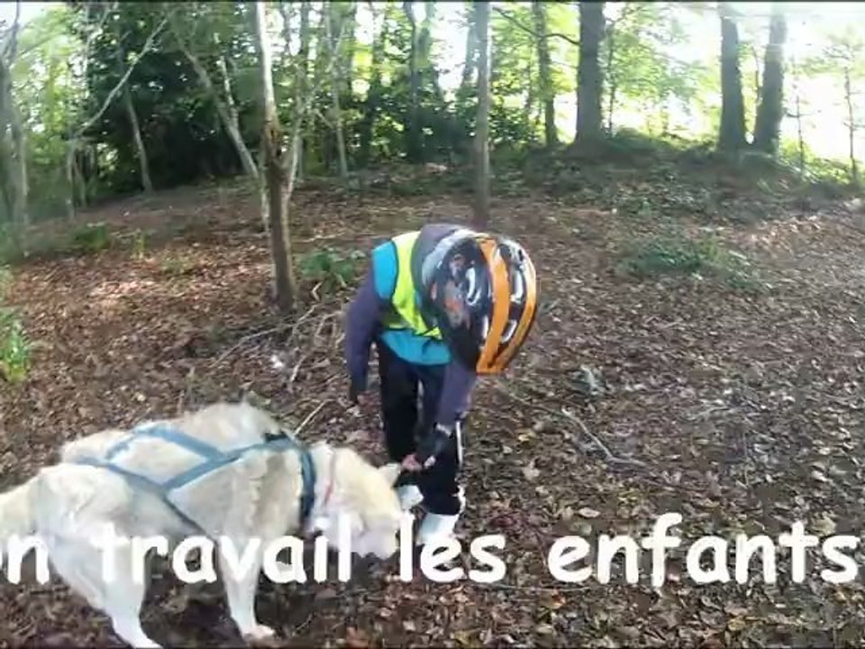 Félipé Siska 14-10-12