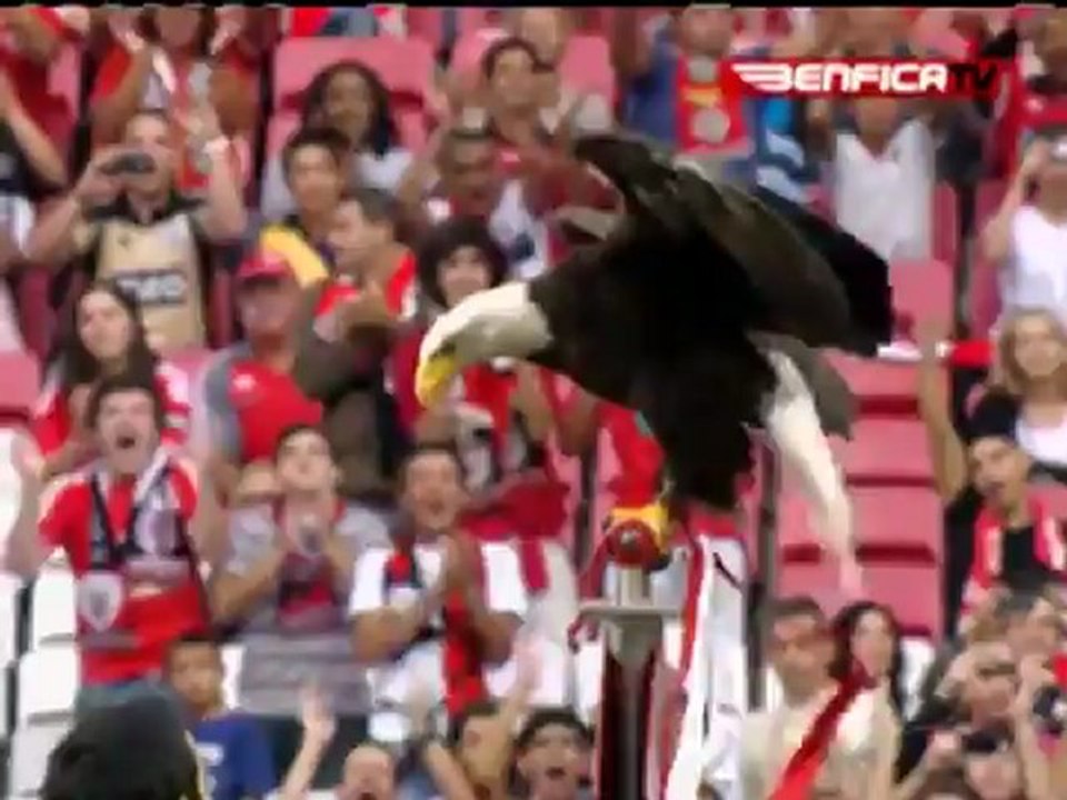 Esporte Espetacular 14-10-2012 Parte 1 Edição de domingo