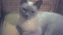 Captura 2 (27-07-2012 01-07 a.m.)
