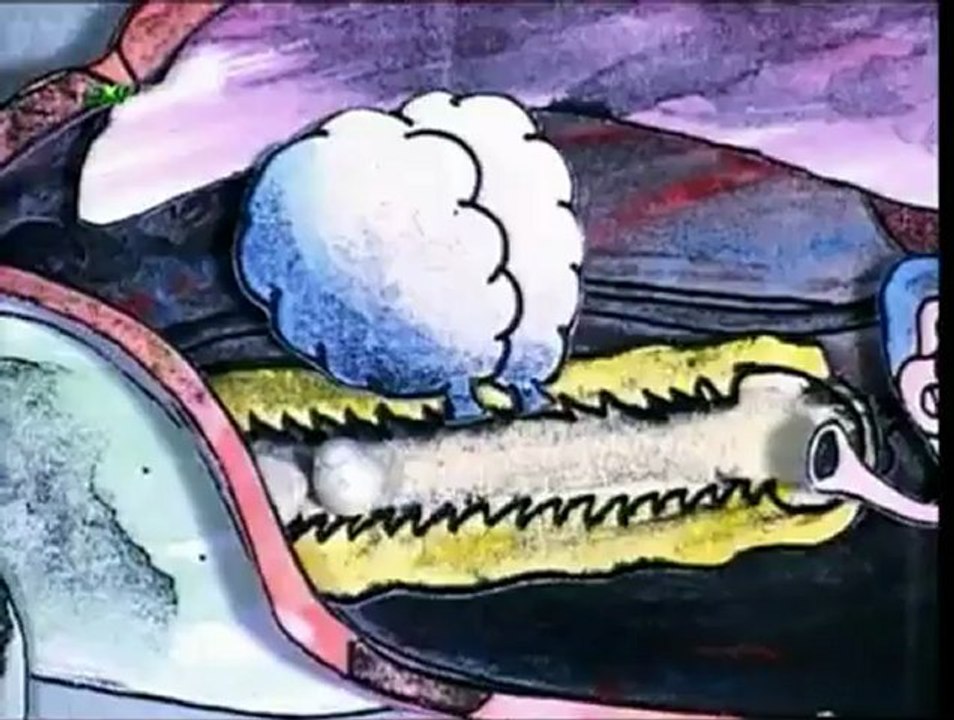 50 fakte për kafshët 4