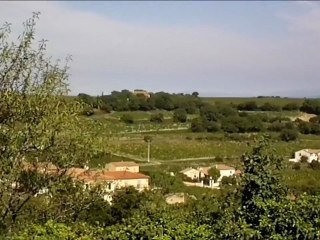 John Dyson. Evolution.