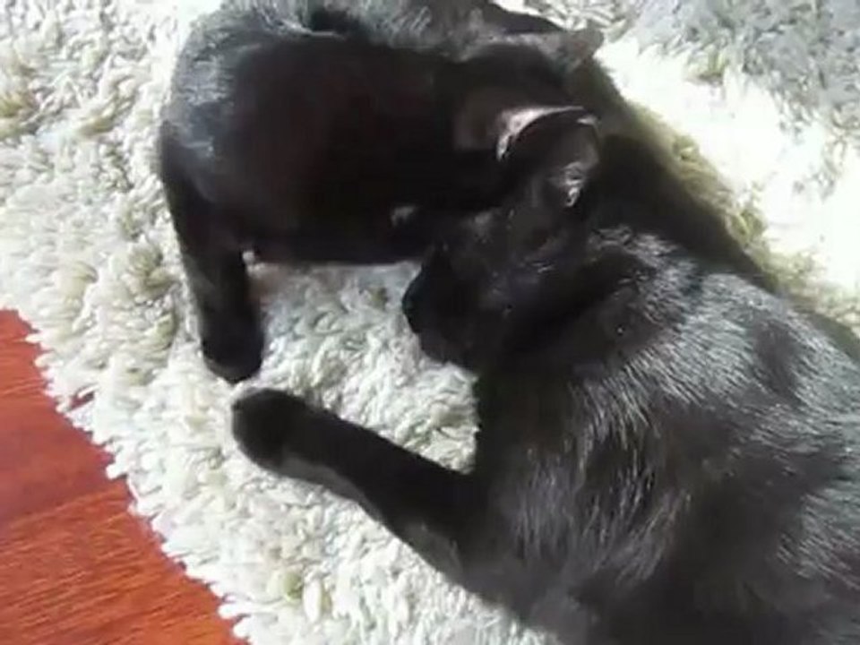 Sidonie et Hasumi, moment de tendresse