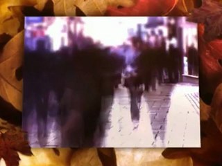 Aviator Sunglasses II