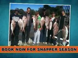 Snapper Fishing Charters - Bagout Fishing
