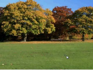 Bars of Black and White - Walkthrough/Speed Run - 44.4 Seconds