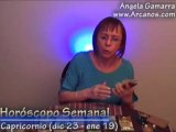 Horoscopo Capricornio del 3 al 9 de febrero 2008