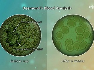 Rev22: Energia Desmond – Powering Your Future ⚡