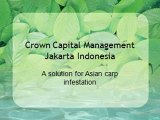 Crown Capital Management Jakarta Indonesia - A solution for Asian carp infestation