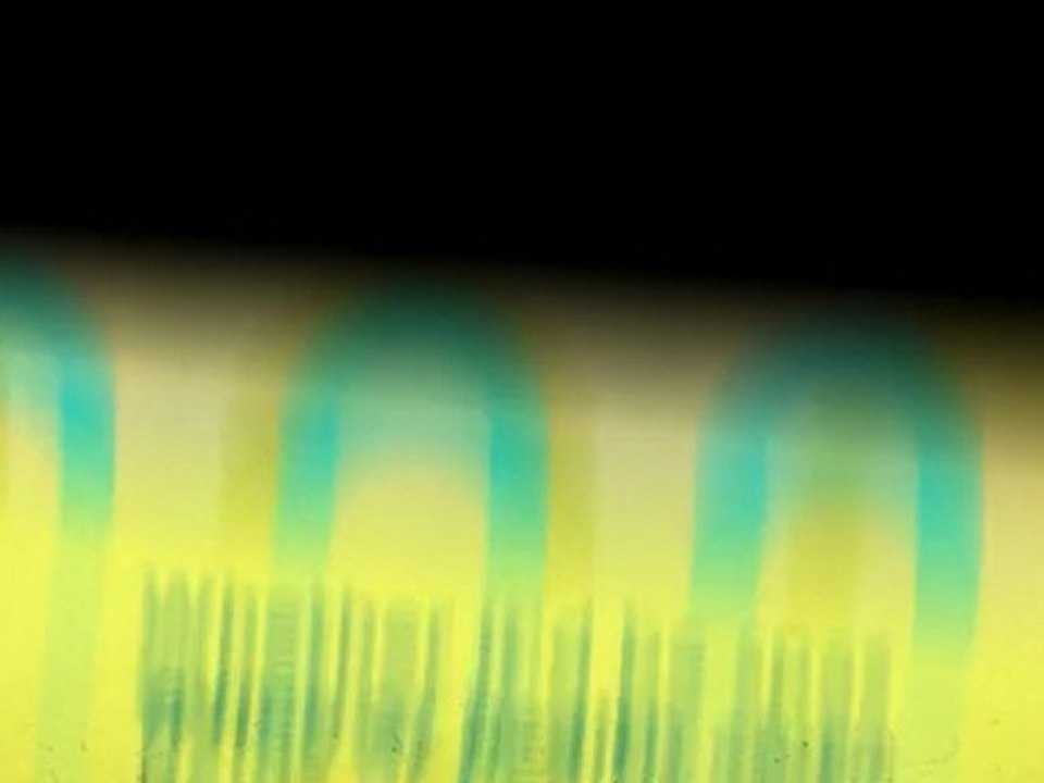 Effective Gym Marketing Ideas | 409-193-111